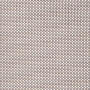 Screen Taupe P404 127mm